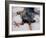 Talons - White Tailed Sea Eagle, 2001-Mark Adlington-Framed Giclee Print