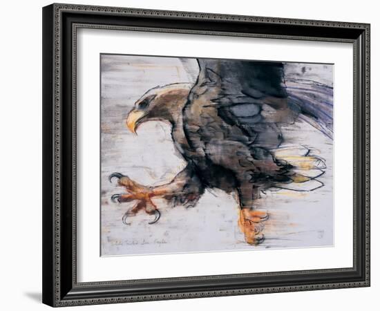 Talons - White Tailed Sea Eagle, 2001-Mark Adlington-Framed Giclee Print