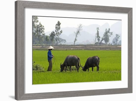 Tam Coc, Ninh Binh Area, Vietnam, Indochina, Southeast Asia, Asia-Bruno Morandi-Framed Photographic Print