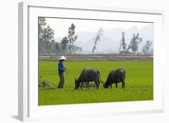 Tam Coc, Ninh Binh Area, Vietnam, Indochina, Southeast Asia, Asia-Bruno Morandi-Framed Photographic Print