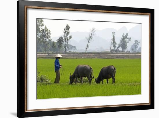 Tam Coc, Ninh Binh Area, Vietnam, Indochina, Southeast Asia, Asia-Bruno Morandi-Framed Photographic Print