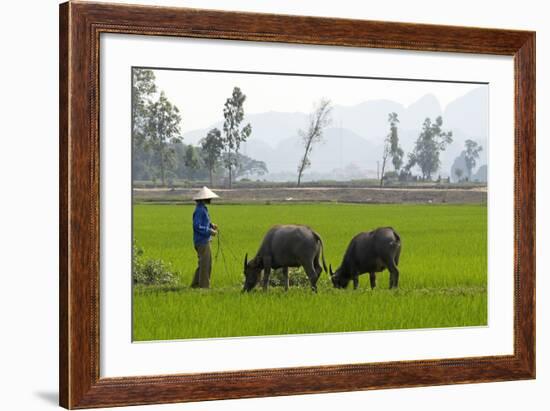 Tam Coc, Ninh Binh Area, Vietnam, Indochina, Southeast Asia, Asia-Bruno Morandi-Framed Photographic Print