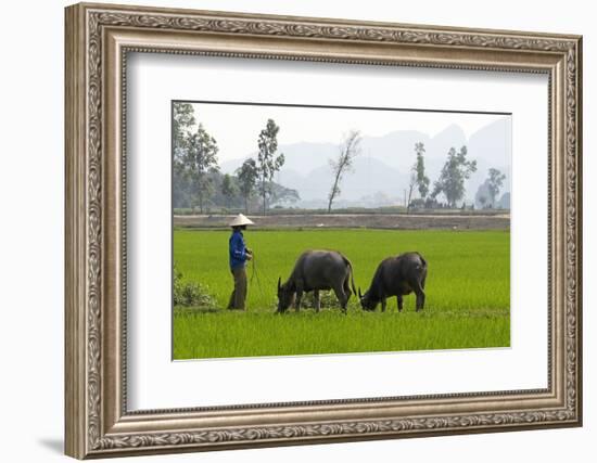 Tam Coc, Ninh Binh Area, Vietnam, Indochina, Southeast Asia, Asia-Bruno Morandi-Framed Photographic Print