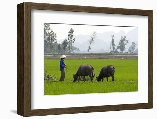 Tam Coc, Ninh Binh Area, Vietnam, Indochina, Southeast Asia, Asia-Bruno Morandi-Framed Photographic Print