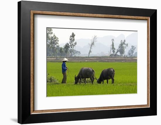 Tam Coc, Ninh Binh Area, Vietnam, Indochina, Southeast Asia, Asia-Bruno Morandi-Framed Photographic Print