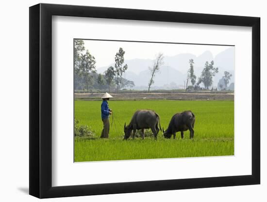 Tam Coc, Ninh Binh Area, Vietnam, Indochina, Southeast Asia, Asia-Bruno Morandi-Framed Photographic Print