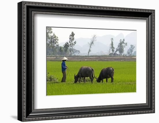 Tam Coc, Ninh Binh Area, Vietnam, Indochina, Southeast Asia, Asia-Bruno Morandi-Framed Photographic Print