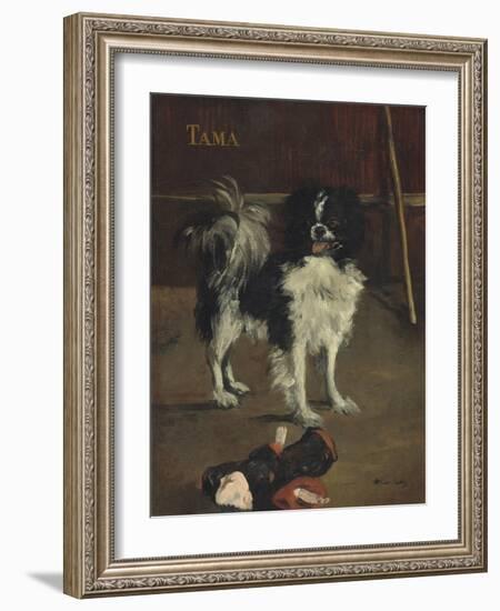 Tama, the Japanese Dog, c.1875-Edouard Manet-Framed Giclee Print