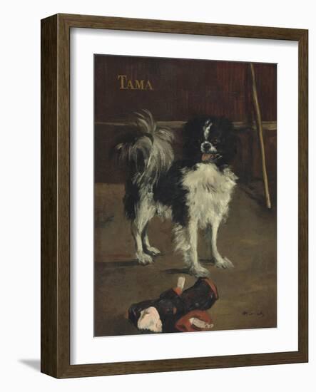 Tama, the Japanese Dog, c.1875-Edouard Manet-Framed Giclee Print