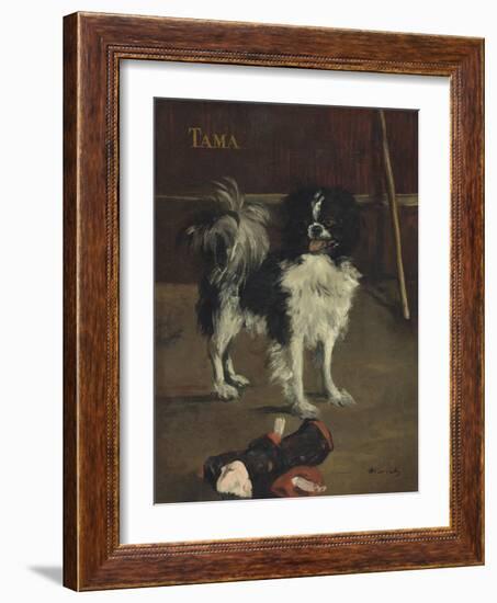 Tama, the Japanese Dog, c.1875-Edouard Manet-Framed Giclee Print