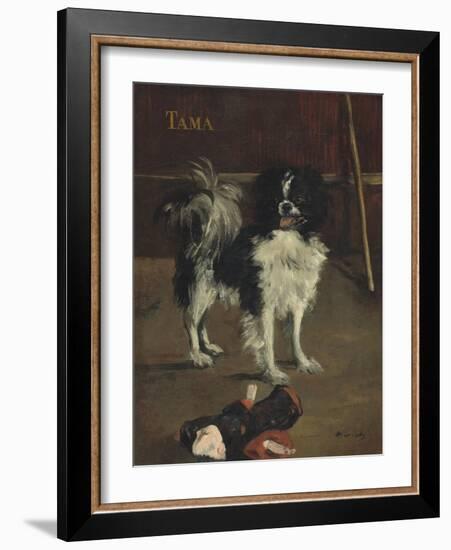 Tama, the Japanese Dog, c.1875-Edouard Manet-Framed Giclee Print