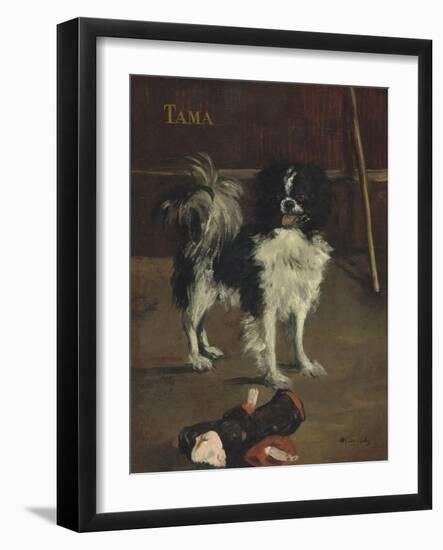 Tama, the Japanese Dog, c.1875-Edouard Manet-Framed Giclee Print