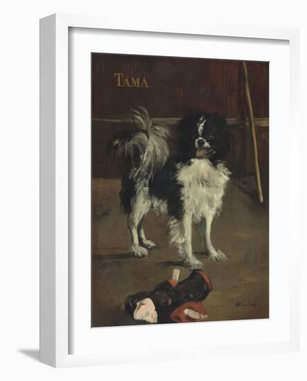 Tama, the Japanese Dog, c.1875-Edouard Manet-Framed Giclee Print
