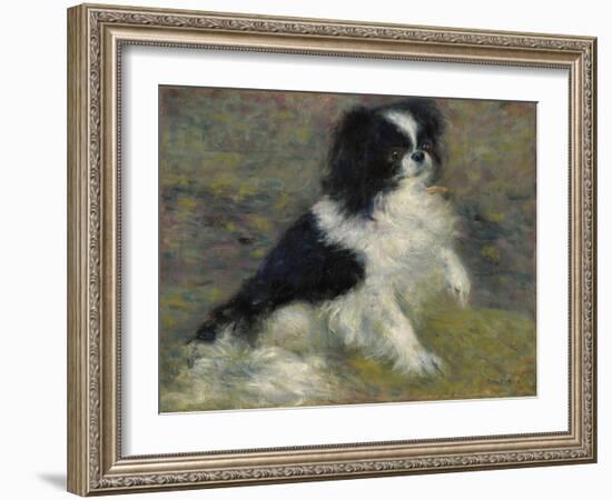 Tama, the Japanese Dog, C.1876 (Oil on Canvas)-Pierre Auguste Renoir-Framed Giclee Print