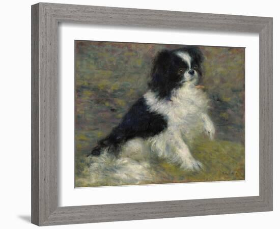 Tama, the Japanese Dog, C.1876 (Oil on Canvas)-Pierre Auguste Renoir-Framed Giclee Print