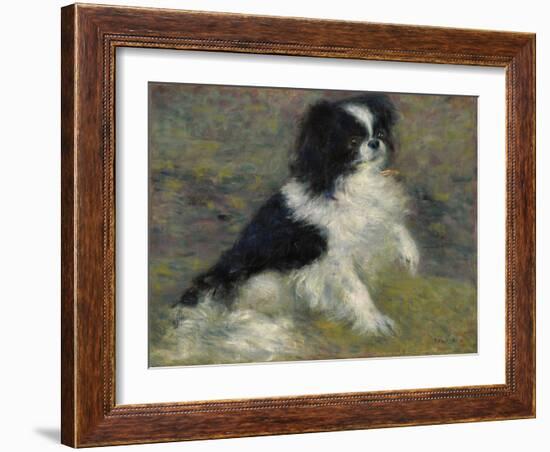 Tama, the Japanese Dog, C.1876 (Oil on Canvas)-Pierre Auguste Renoir-Framed Giclee Print