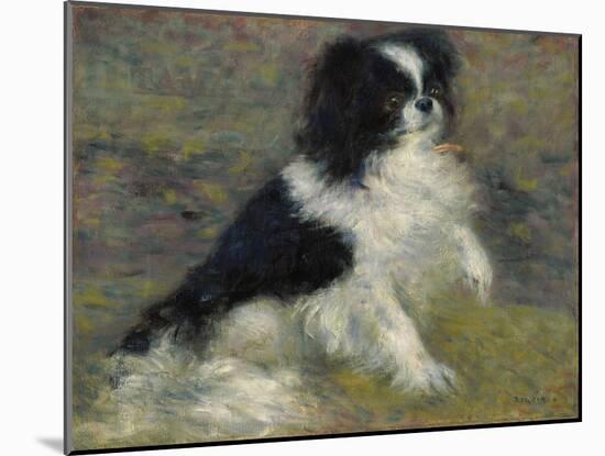 Tama, the Japanese Dog, C.1876 (Oil on Canvas)-Pierre Auguste Renoir-Mounted Giclee Print