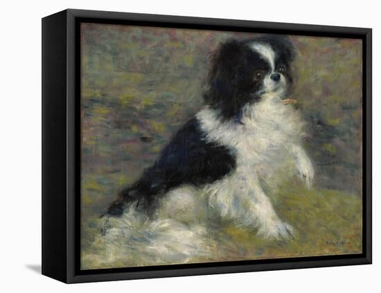 Tama, the Japanese Dog, C.1876 (Oil on Canvas)-Pierre Auguste Renoir-Framed Premier Image Canvas