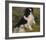 Tama ,The Japanese Dog-Pierre-Auguste Renoir-Framed Premium Giclee Print