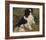 Tama ,The Japanese Dog-Pierre-Auguste Renoir-Framed Premium Giclee Print