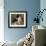 Tama ,The Japanese Dog-Pierre-Auguste Renoir-Framed Premium Giclee Print displayed on a wall