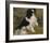 Tama ,The Japanese Dog-Pierre-Auguste Renoir-Framed Premium Giclee Print