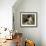 Tama ,The Japanese Dog-Pierre-Auguste Renoir-Framed Premium Giclee Print displayed on a wall