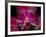 Taman Orchid, Kuala Lumpur, Malaysia-Michele Molinari-Framed Photographic Print