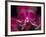 Taman Orchid, Kuala Lumpur, Malaysia-Michele Molinari-Framed Photographic Print