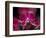 Taman Orchid, Kuala Lumpur, Malaysia-Michele Molinari-Framed Photographic Print