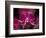 Taman Orchid, Kuala Lumpur, Malaysia-Michele Molinari-Framed Photographic Print