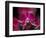 Taman Orchid, Kuala Lumpur, Malaysia-Michele Molinari-Framed Photographic Print