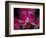 Taman Orchid, Kuala Lumpur, Malaysia-Michele Molinari-Framed Photographic Print