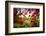 Tamarind Bay View, Culebra Island, Puerto Rico-George Oze-Framed Photographic Print