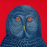 Owl, 2015-Tamas Galambos-Framed Giclee Print