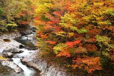 Autumn Colours of Valley-tamikosan-Framed Photographic Print