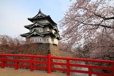 Sakura Path-tamikosan-Framed Photographic Print