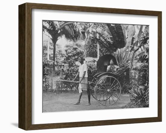 'Tamil Lady in Rickshaw', c1890, (1910)-Alfred William Amandus Plate-Framed Photographic Print