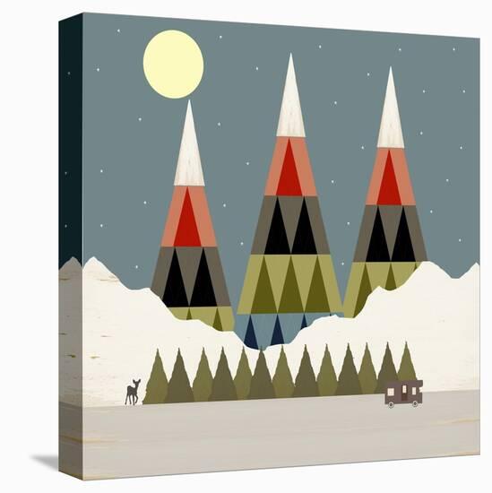Stretched Canvas Print, , large