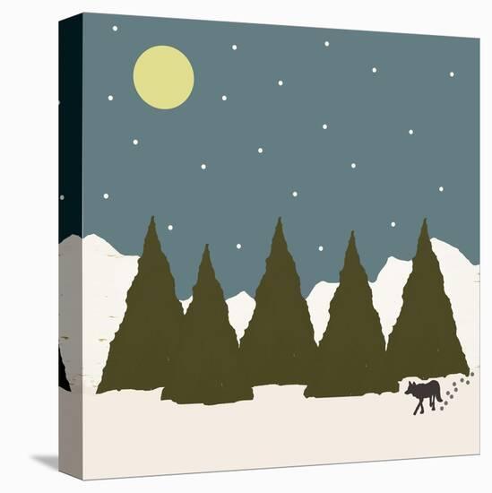 Stretched Canvas Print, , large