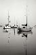 Premium Photographic Print