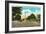 Tampa, Florida - Memorial Hwy, Road of Remembrance Scene-Lantern Press-Framed Art Print