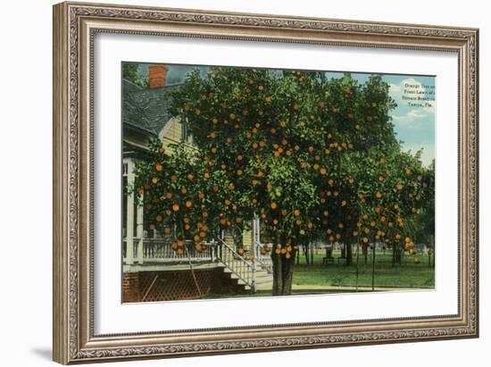 Tampa, Florida - Orange Trees in Front of House-Lantern Press-Framed Art Print