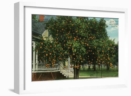 Tampa, Florida - Orange Trees in Front of House-Lantern Press-Framed Art Print