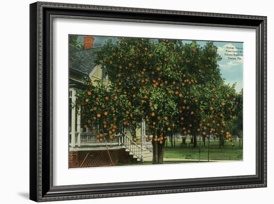 Tampa, Florida - Orange Trees in Front of House-Lantern Press-Framed Art Print