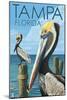 Tampa, Florida - Pelicans-Lantern Press-Mounted Art Print