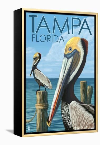 Tampa, Florida - Pelicans-Lantern Press-Framed Stretched Canvas