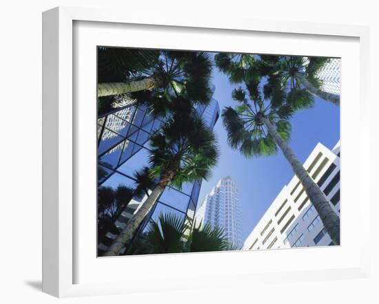 Tampa, Florida, USA-Ruth Tomlinson-Framed Photographic Print