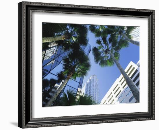 Tampa, Florida, USA-Ruth Tomlinson-Framed Photographic Print