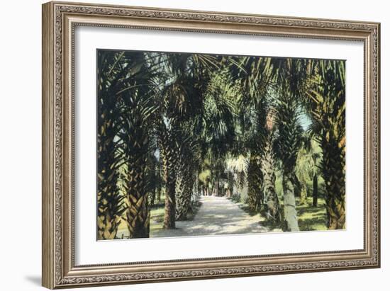 Tampa, Florida - View of Palmetto Walk-Lantern Press-Framed Art Print